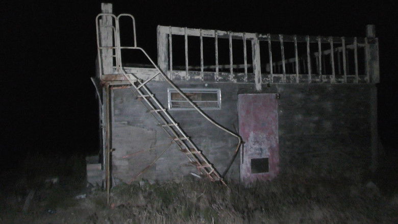 кадр из фильма The Wilderness Tapes: Volume One