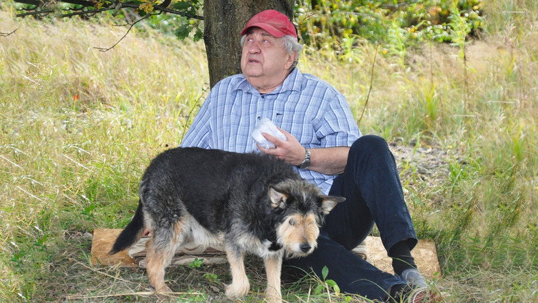 кадр из фильма Kundel