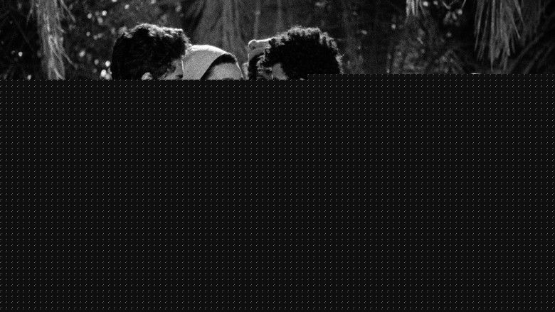 кадр из фильма К востоку от полудня