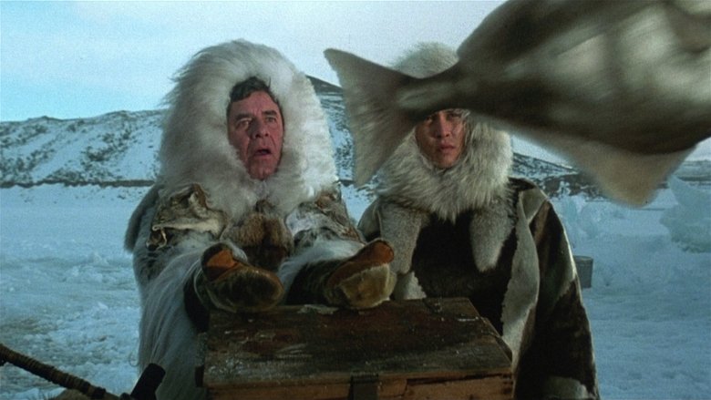 кадр из фильма Аризонская мечта