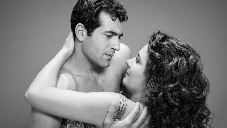 кадр из фильма Sokak Kızı