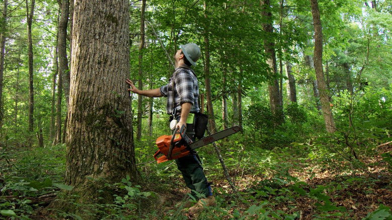 кадр из фильма Leap of Faith