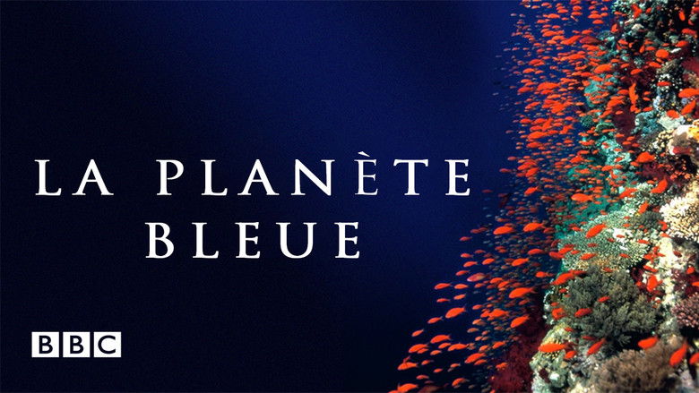 кадр из фильма Голубая бездна