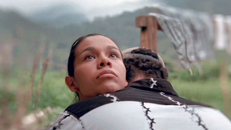 кадр из фильма После мрака свет