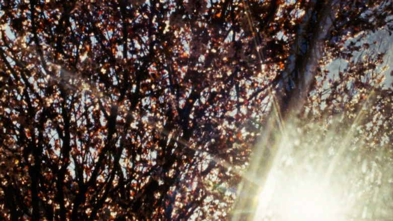 кадр из фильма The Return