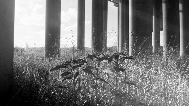 кадр из фильма Facticity