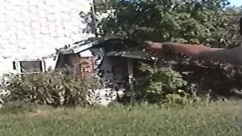 кадр из фильма Hood Doves