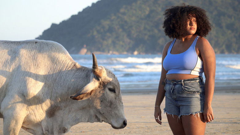 кадр из фильма Boi de Conchas