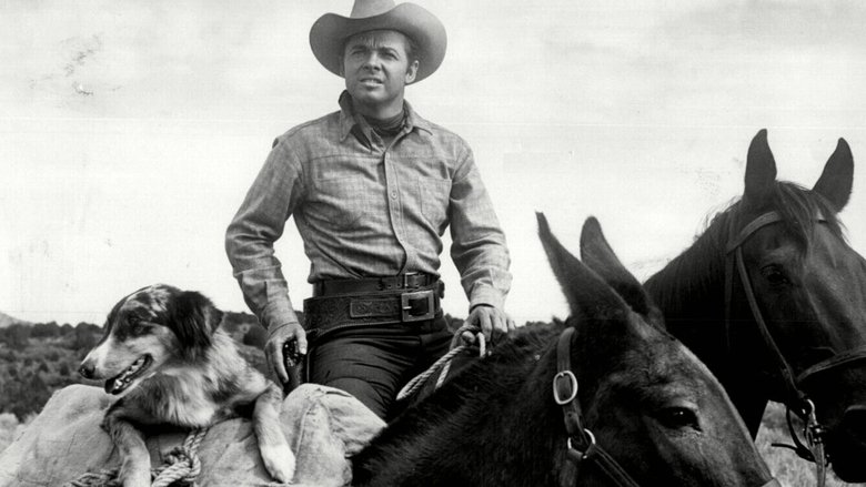 кадр из фильма Six Black Horses