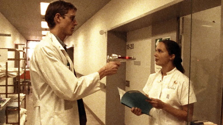 кадр из фильма Королевство