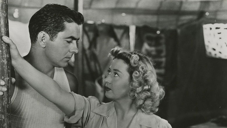 кадр из фильма Аллея кошмаров