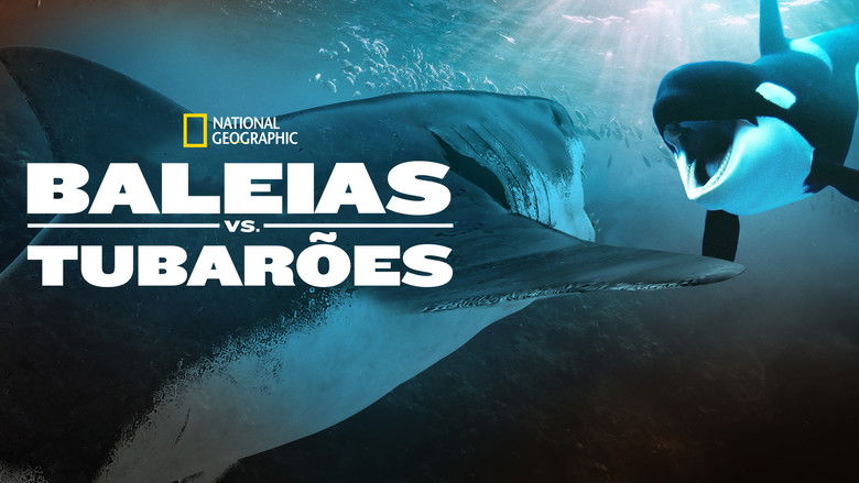 кадр из фильма Orca Vs. Great White