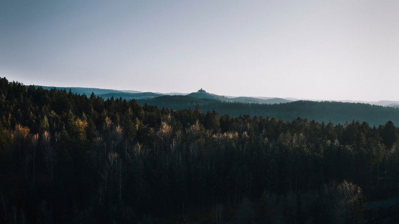 кадр из фильма La découverte de la Chouette d'or