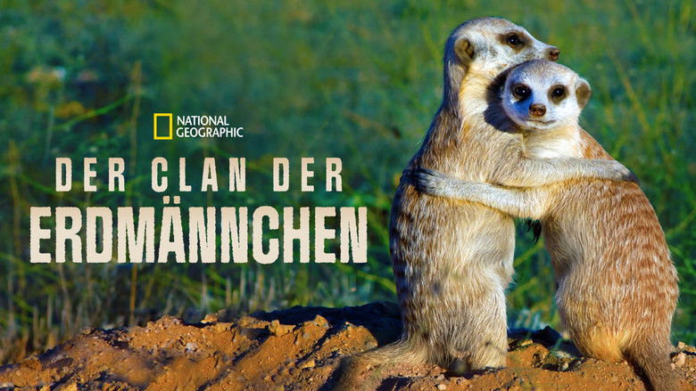 кадр из фильма Clan of the Meerkat