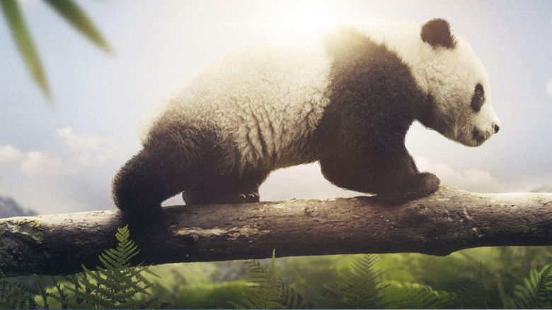 кадр из фильма Земля: Один потрясающий день