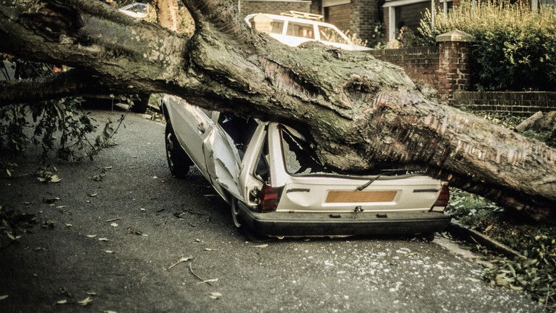 кадр из фильма The Great Storm of '87