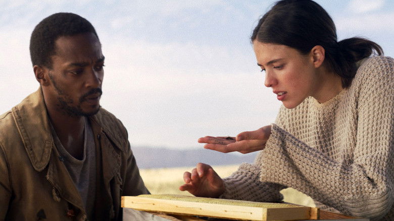 кадр из фильма ИО