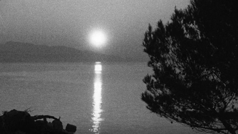 кадр из фильма Tih Minh