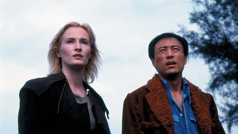 Кибер Войны