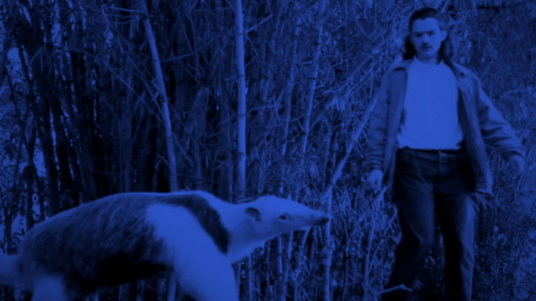 кадр из фильма A Mais Longa das Noites