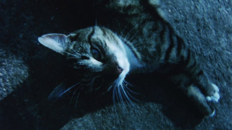 кадр из фильма Kata