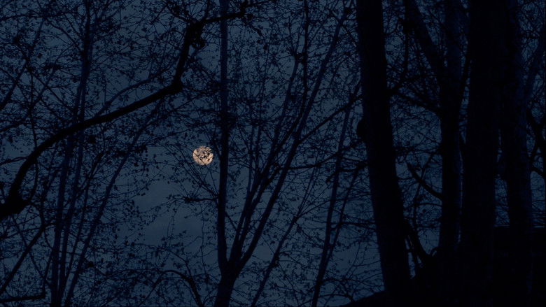 кадр из фильма Kojimaro