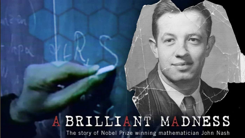 кадр из фильма A Brilliant Madness