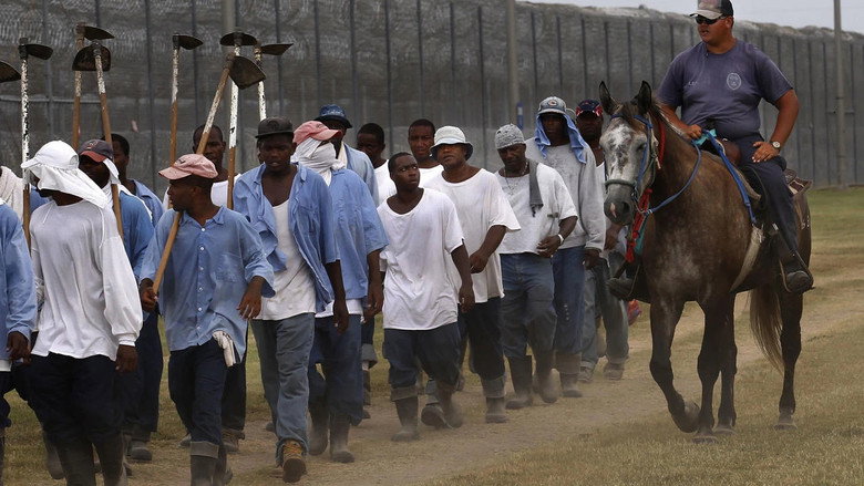 кадр из фильма The Farm: Angola, USA