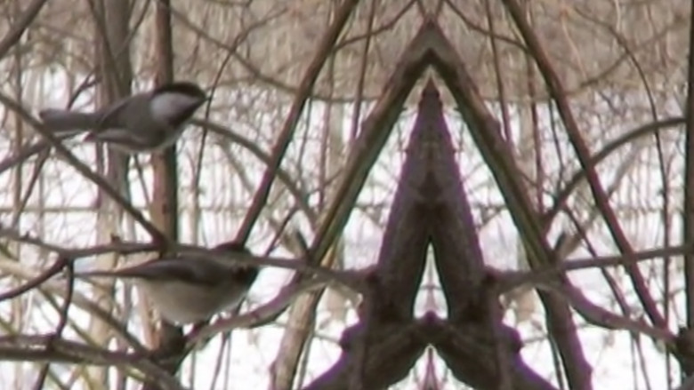 кадр из фильма Songs of Praise for the Heart Beyond Cure