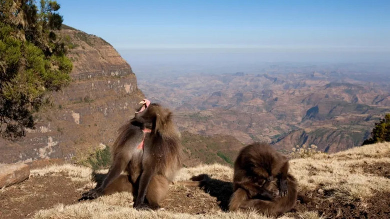 кадр из фильма Le royaume des nuages