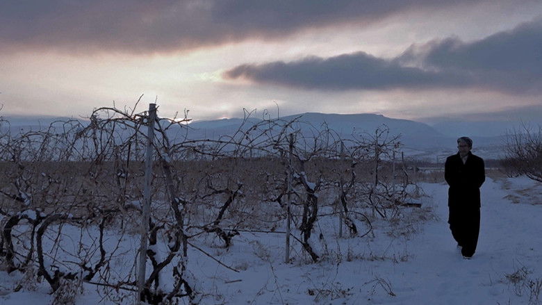 кадр из фильма Taste of Water