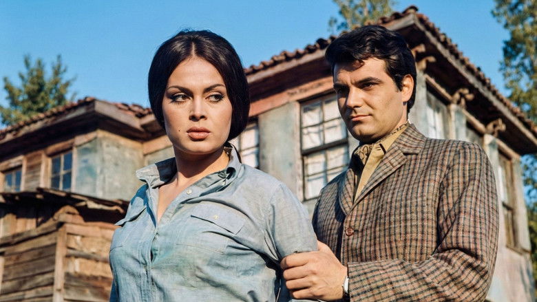 кадр из фильма Bir Dağ Masalı