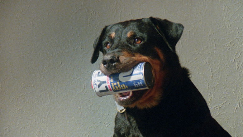 кадр из фильма Play Dead