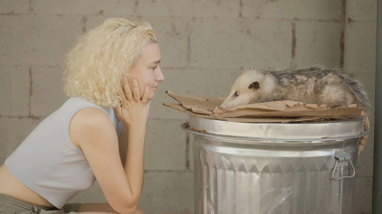 кадр из фильма Beethoven's Great Great Great Great Great Grandchild