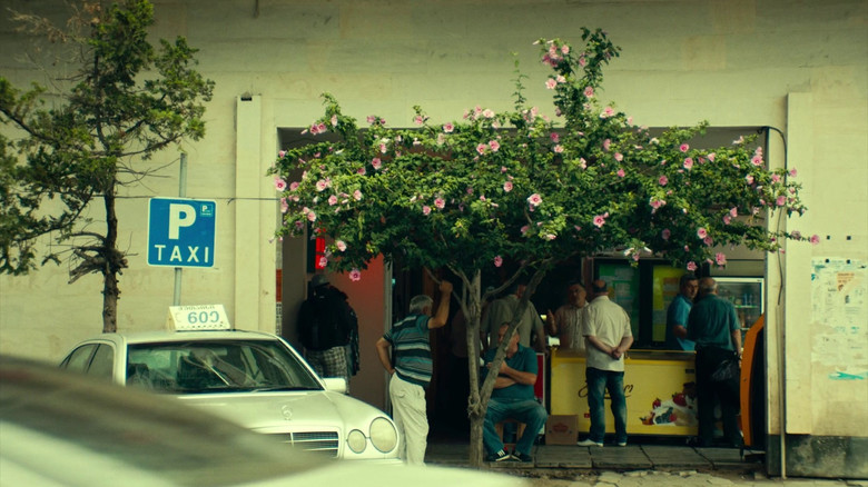 кадр из фильма Что мы видим, когда смотрим на небо?