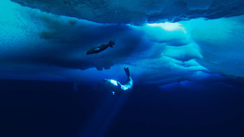 Последний океан