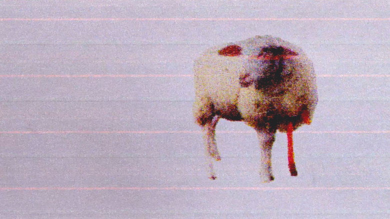 кадр из фильма 3 Lambs