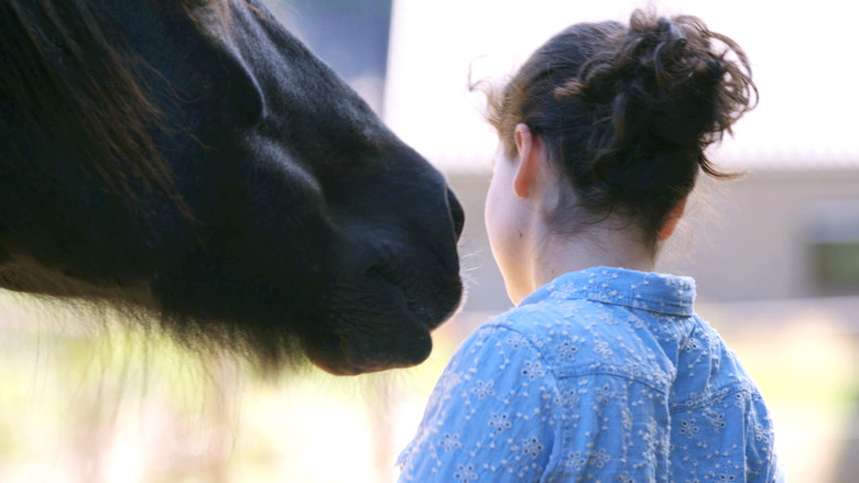 кадр из фильма Spiegel