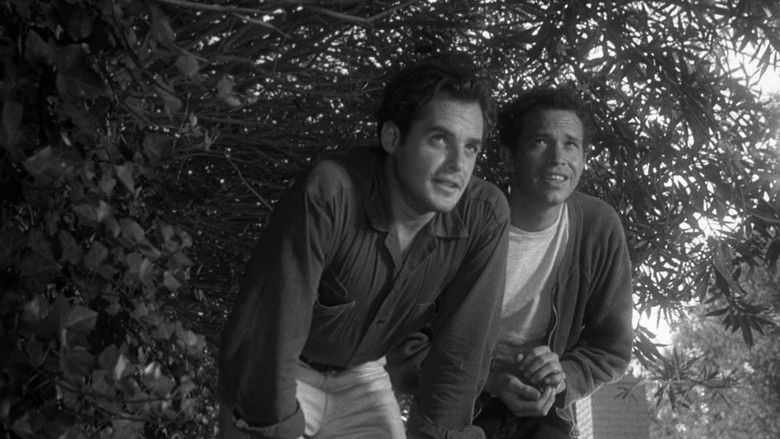 кадр из фильма Частная собственность