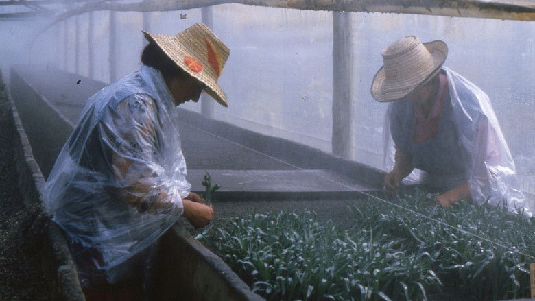 кадр из фильма Amor, mujeres y flores