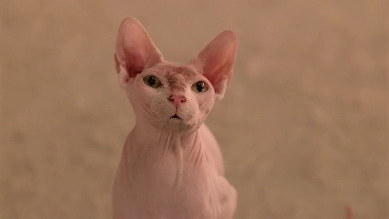 кадр из фильма Пятерка кладоискателей