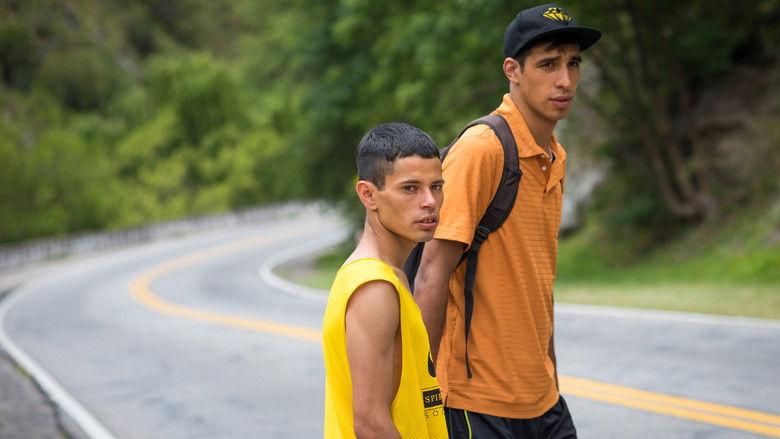 кадр из фильма Guacho