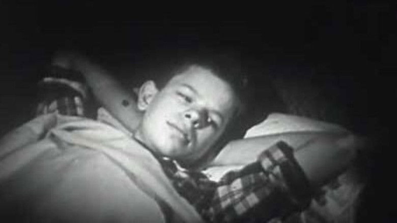 Right or Wrong? (Making Moral Decisions)