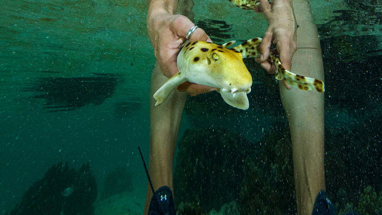 кадр из фильма Baby Sharks