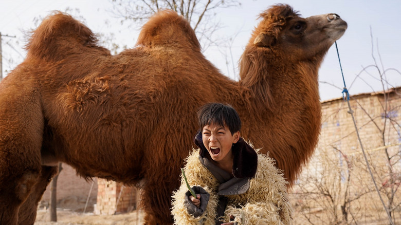 кадр из фильма 野小子