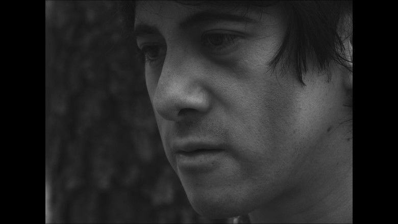 кадр из фильма Frankenstein