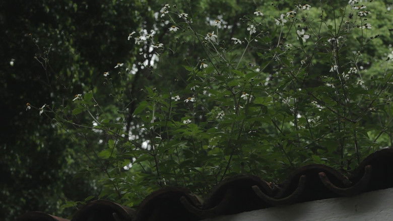 кадр из фильма Autismo