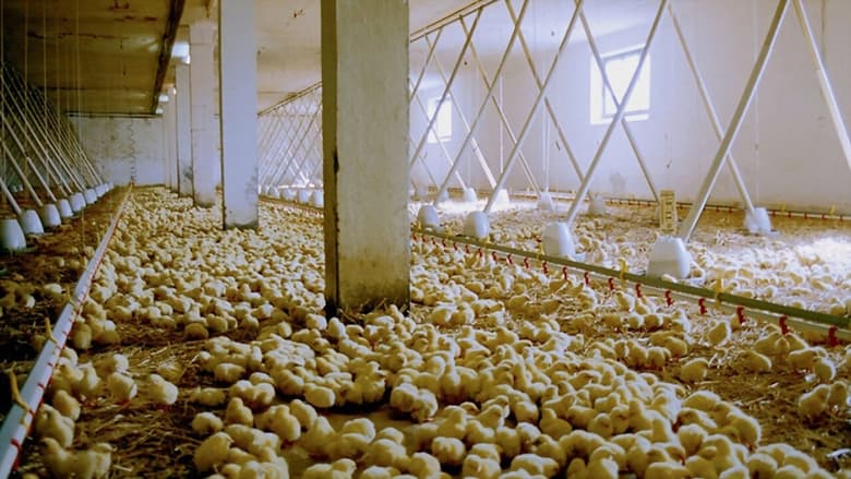 кадр из фильма We Feed the World