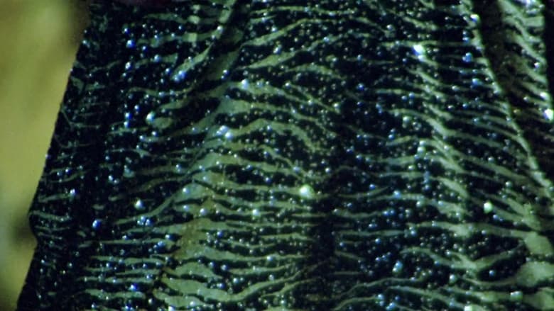 кадр из фильма Тайные оргии Эммануэль