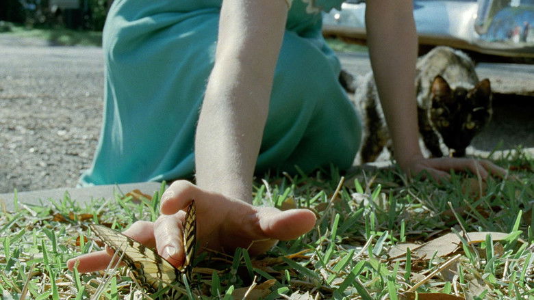 кадр из фильма Древо жизни